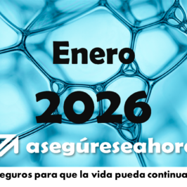 Boletín Enero 2026
